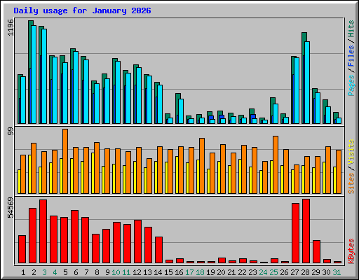 Daily usage for January 2026