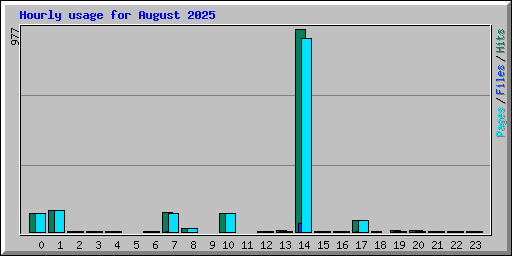 Hourly usage for August 2025