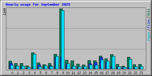 Hourly usage for September 2025