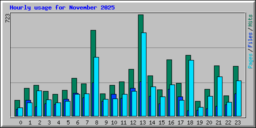 Hourly usage for November 2025