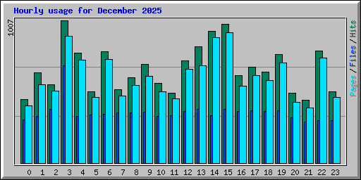 Hourly usage for December 2025