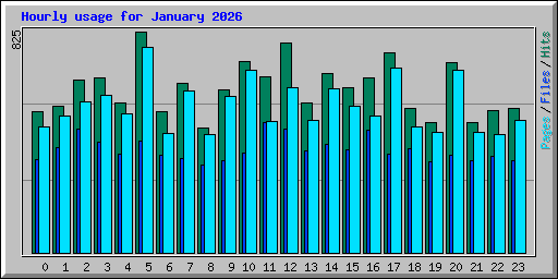 Hourly usage for January 2026